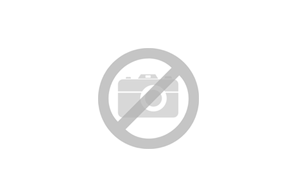 Maxim CRS22290H - Arabesque-Parts / Component