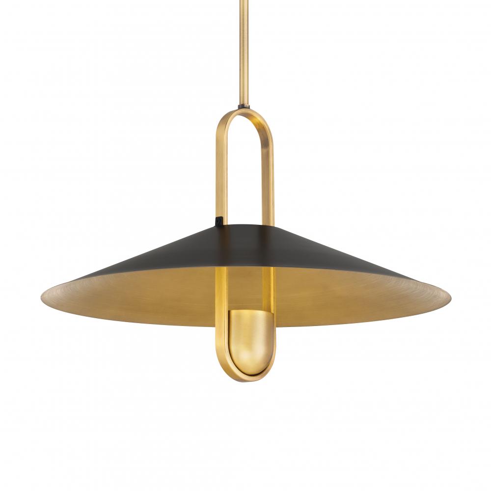1 LIGHT PENDANT