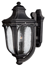 Hinkley Merchant 1315MB - Large Wall Mount Lantern