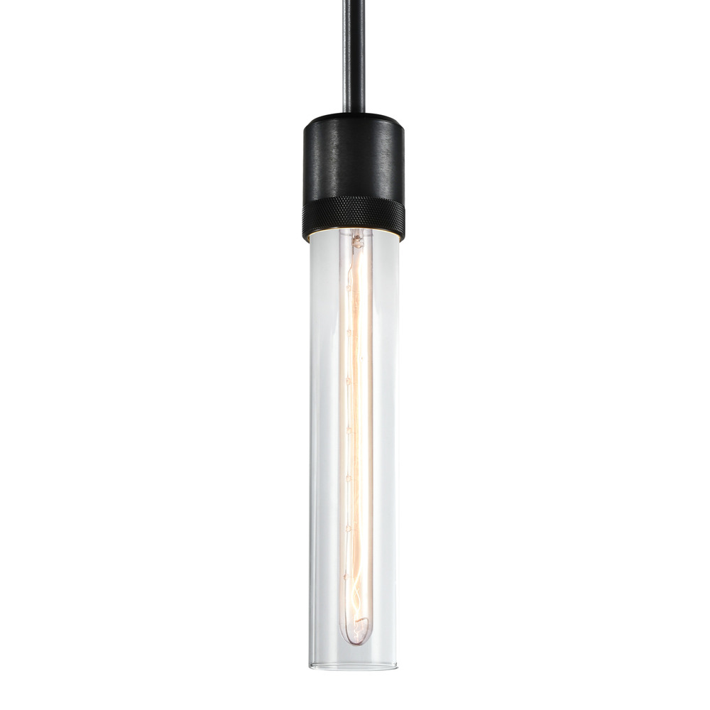 Zigrina 12" Clear Glass E26 Pendant with Knurled Ring Satin Black