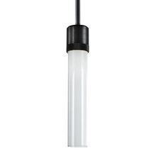 ZEEV Lighting P11704-LED-SBB-G1 - Zigrina 12" Clear Glass LED Pendant with Knurl Ring Black