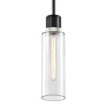 ZEEV Lighting P11708-E26-SBB-K-PN-G15 - Zigrina 18" Glass Drum E26 Pendant in Black with Knurled Ring in Nickel