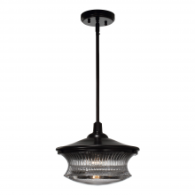 ZEEV Lighting P30044-1-DBZ - Magister 12" Retro Glass Pendant in Dark Bronze
